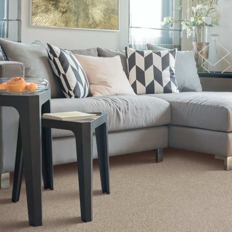 Tranquil Shades Carpet by Karastan